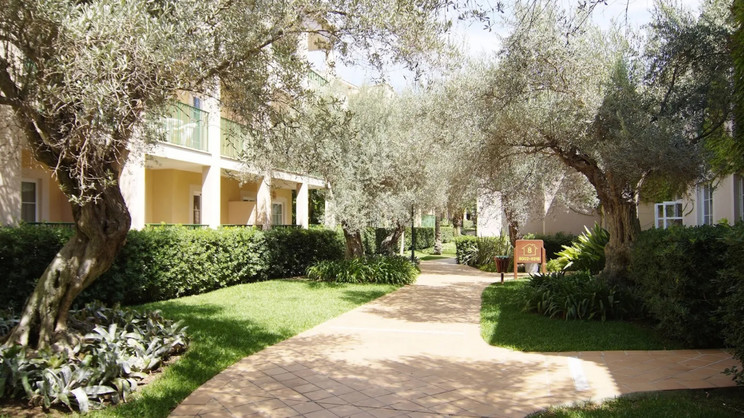 Zafiro Cala Mesquida